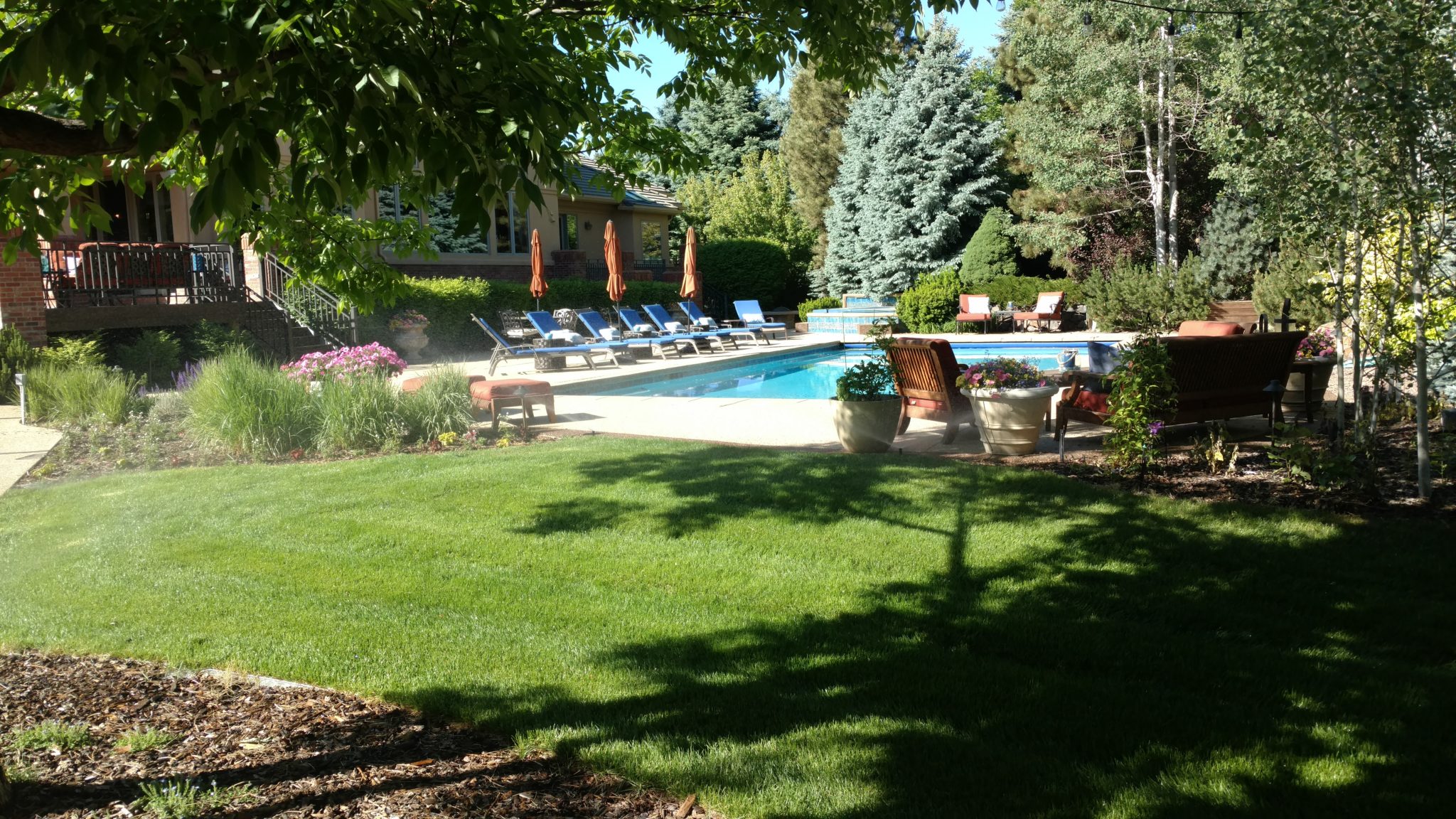 Residential Pool Landscape Design