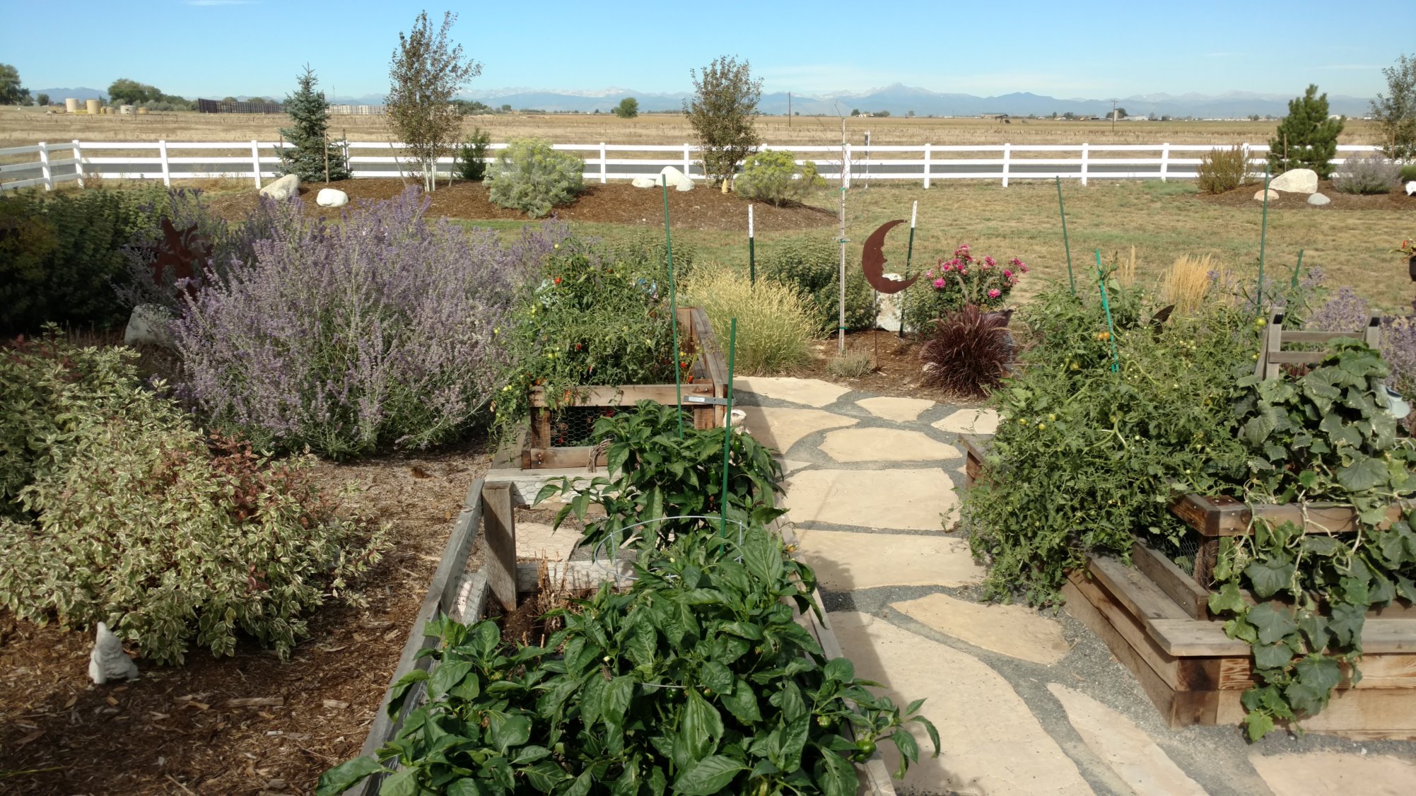 Garden and Landscape Design with edible plants.