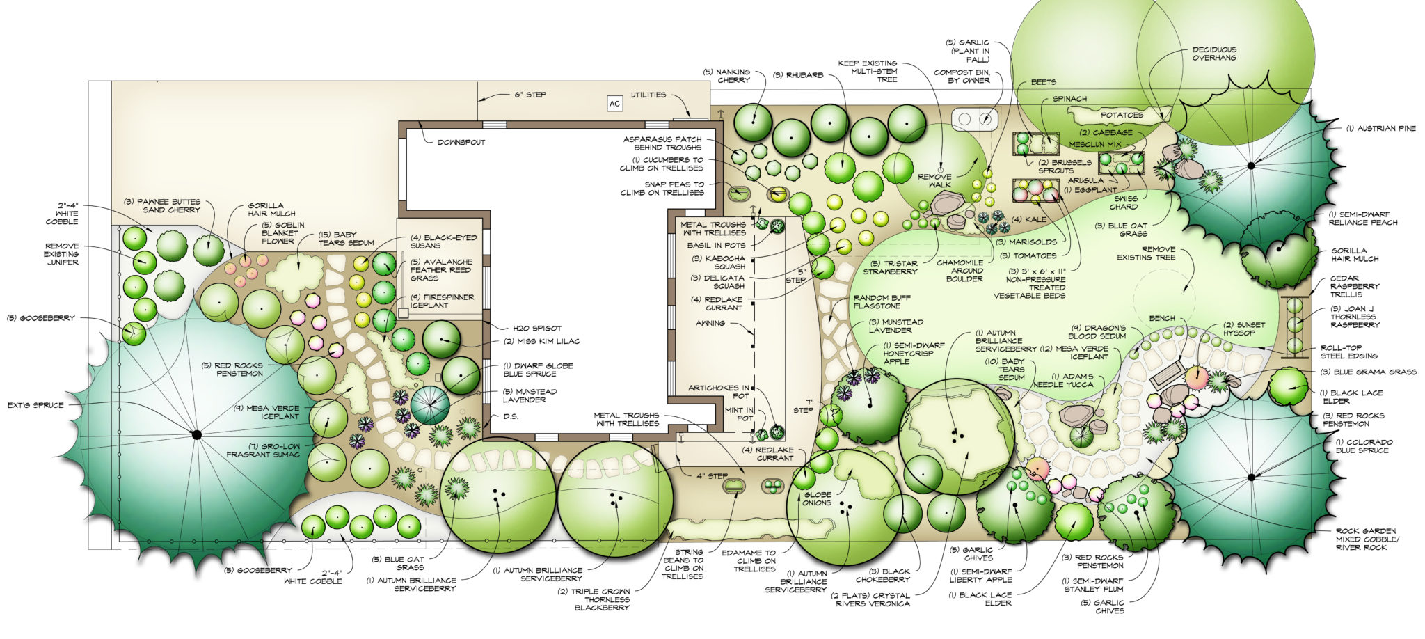 Permaculture Design Landscape Plan