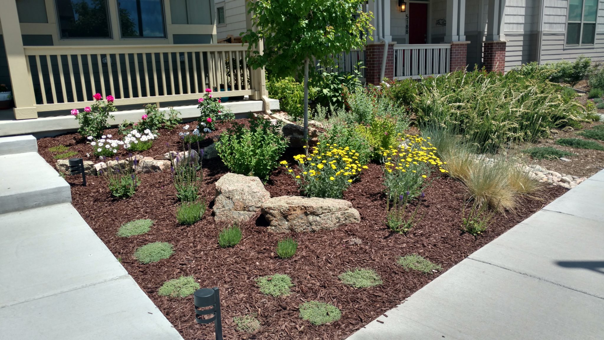 Front Yard Landscaping