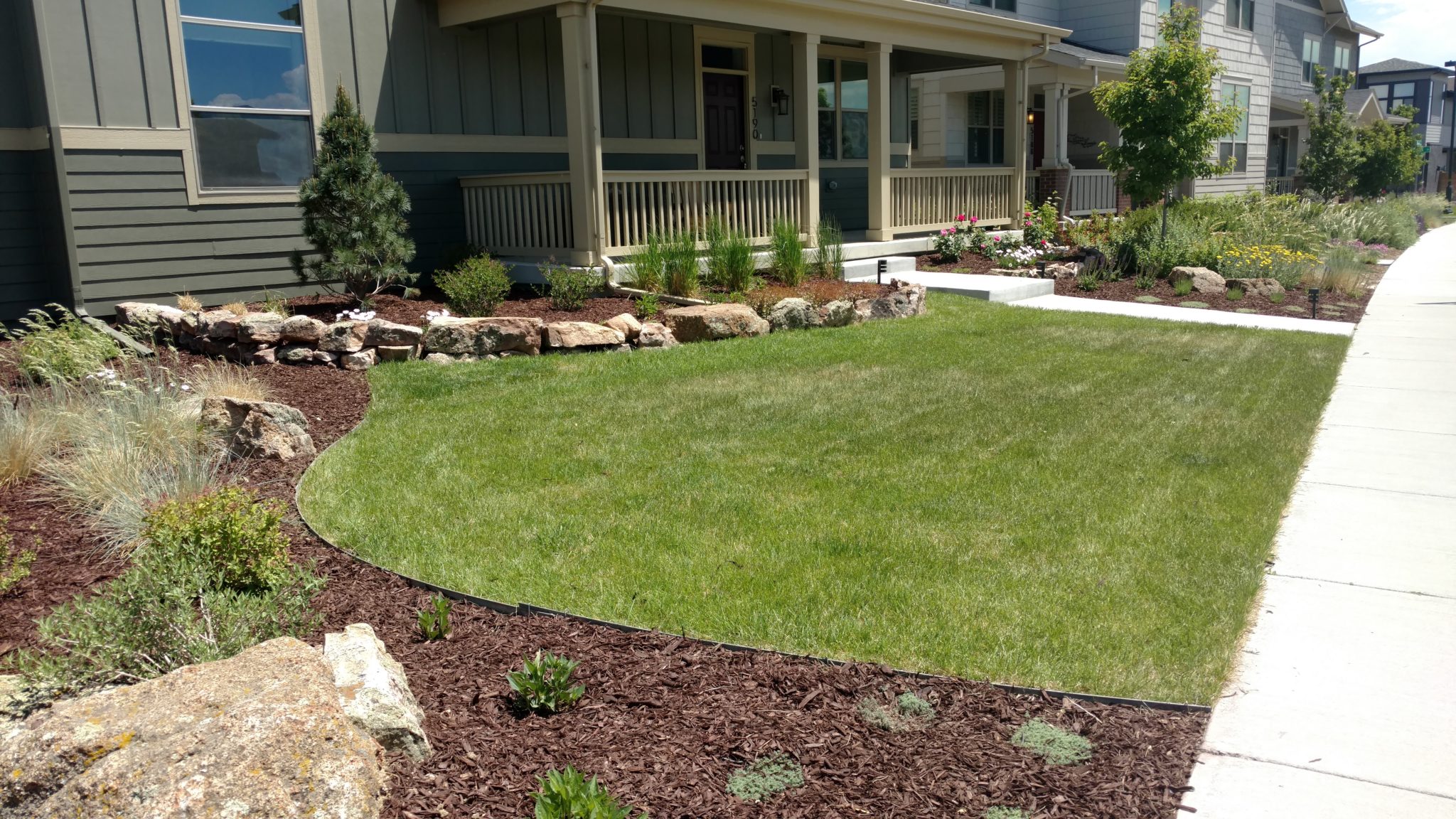 Front Yard Landscaping