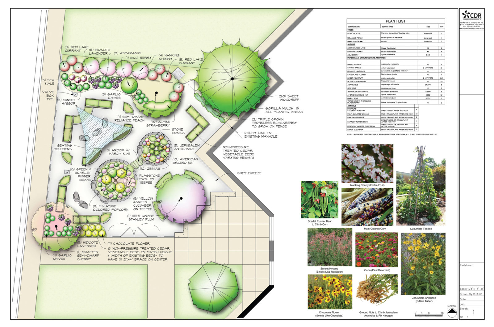 Квиз на ландшафтный дизайн. Ландшафтный дизайнер профессия описание. Plan Plants.