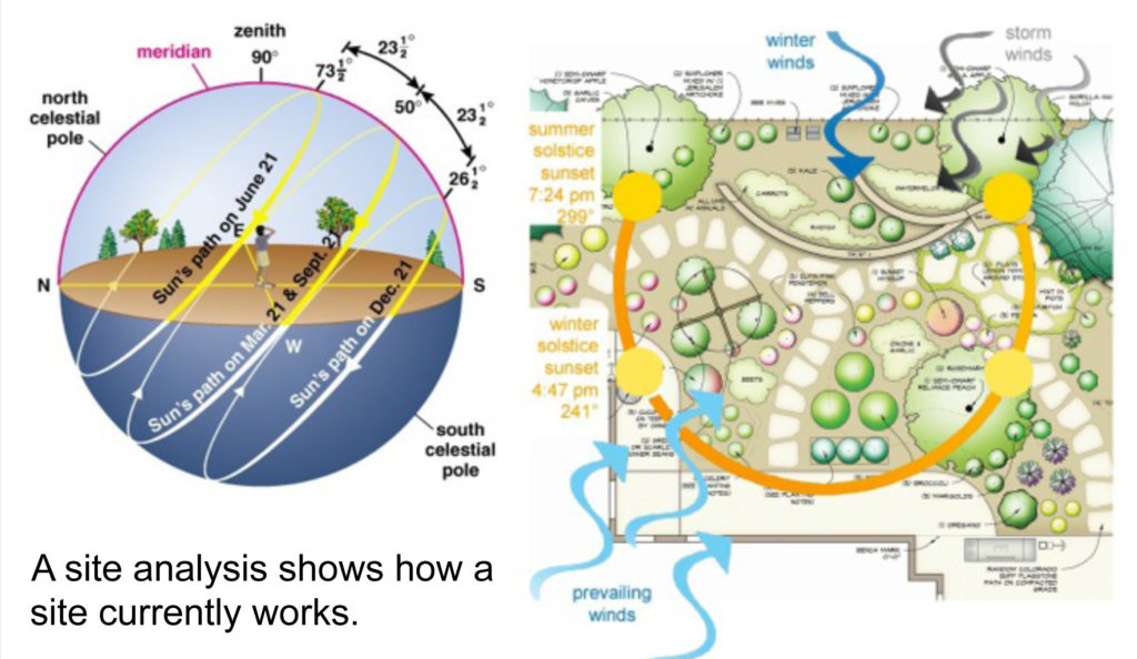 Landscape Design Site Analysis